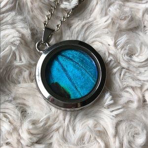 Natural Butterfly wing necklace